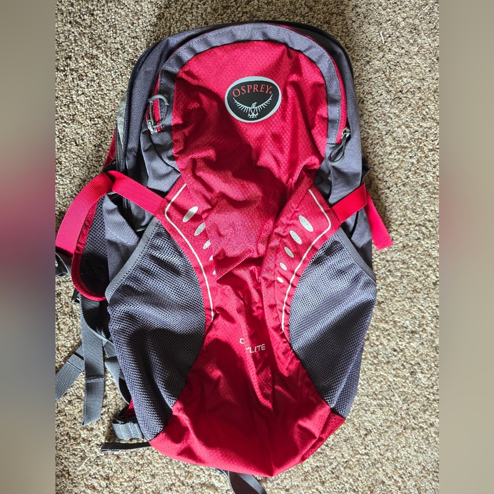 Osprey Red and Gray Daylite Backpack